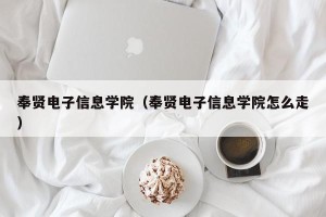 奉贤电子信息学院（奉贤电子信息学院怎么走）