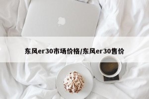 东风er30市场价格/东风er30售价